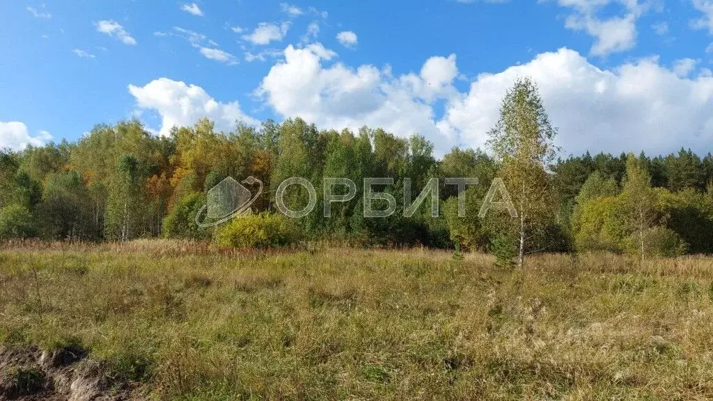 Участок в Тюменская область, Нижнетавдинский район, Царицыно СНТ  (8.0 ... - Фото 0