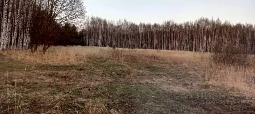 Участок в Владимирская область, Гусь-Хрустальный район, Уршельский ... - Фото 1