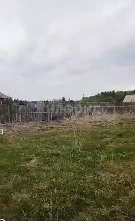 Участок 29 сот. (ИЖС) - Фото 1