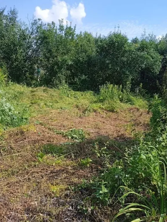 Участок в Марий Эл, Советский район, д. Оршанка ул. Оршанка (15.0 ... - Фото 0