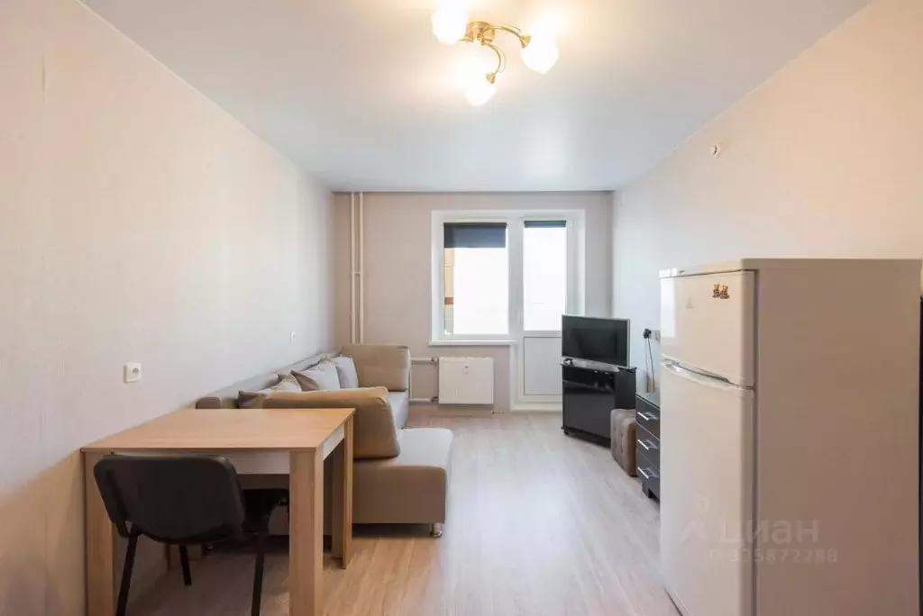 Студия Ростовская область, Ростов-на-Дону ул. Висаитова, 8 (27.5 м) - Фото 1