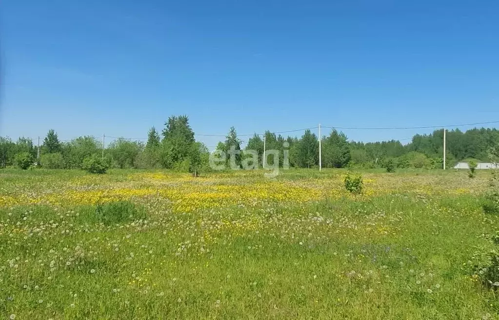 Участок в Кемеровская область, Кемерово ул. Святой Источник (10.0 ... - Фото 0