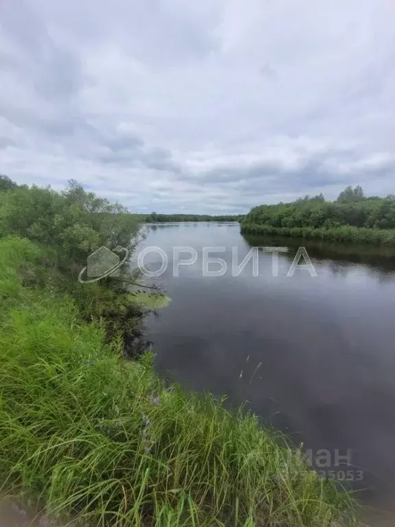 Участок в Тюменская область, Тюменский муниципальный округ, с. Успенка ... - Фото 1