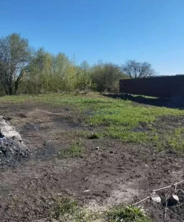 Участок в Нижегородская область, Перевозский муниципальный округ, с. ... - Фото 2