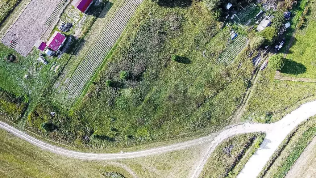 Участок в Ленинградская область, Ломоносовский район, Гостилицкое ... - Фото 1