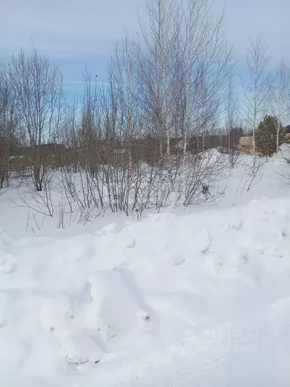 Участок в Томская область, Томский район, с. Корнилово ул. Николая ... - Фото 1