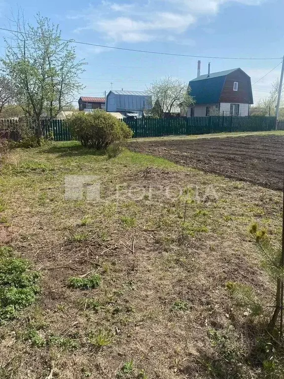 Участок в Новосибирская область, Новосибирск Рабис СНТ, 36 (10.0 сот.) - Фото 2