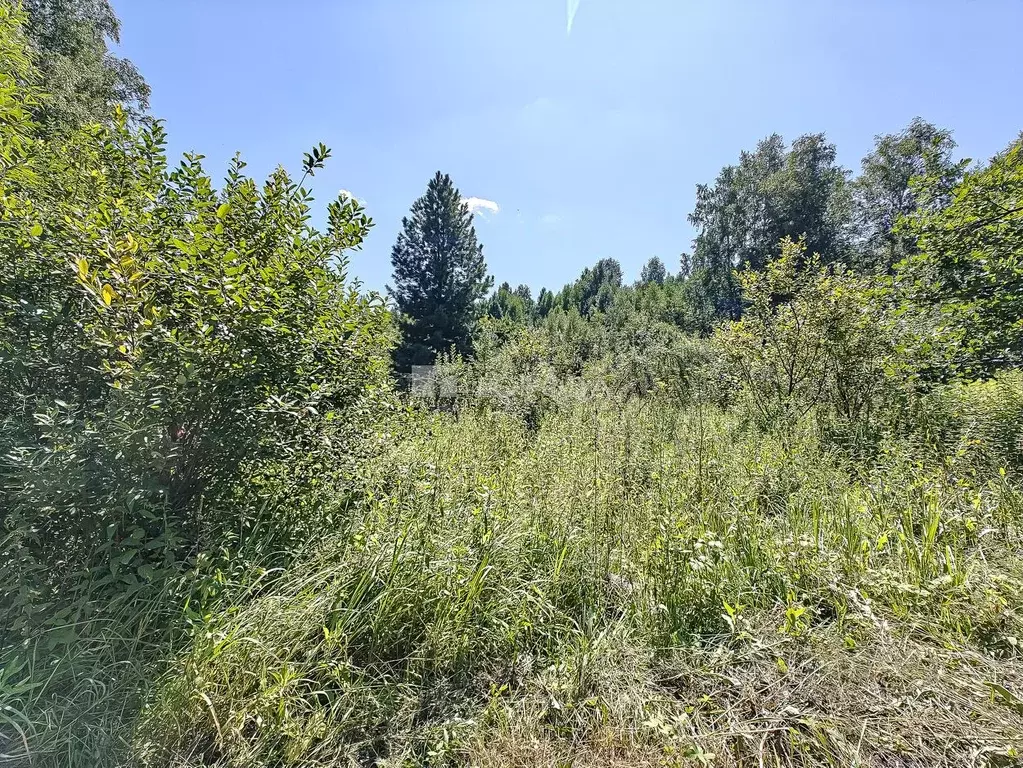 Участок в Новосибирская область, Новосибирск  (7.2 сот.) - Фото 1