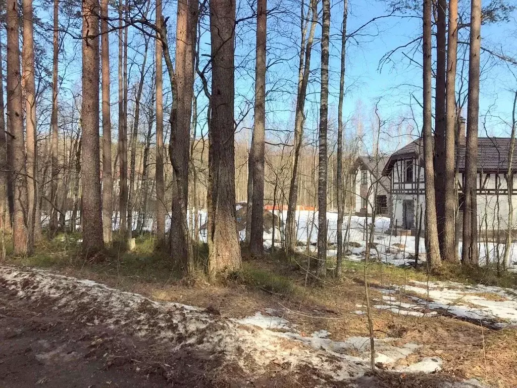 Участок в Ленинградская область, Выборгский район, Рощинское городское ... - Фото 1