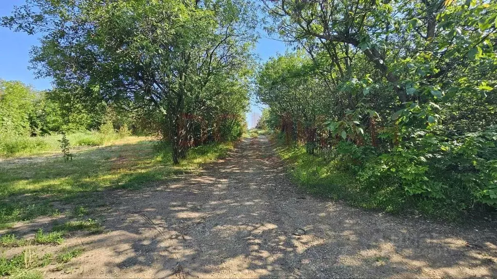 Участок в Ростовская область, Новочеркасск № 9 садовое товарищество, ... - Фото 0