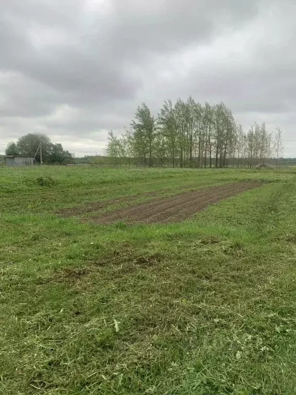Участок в Ленинградская область, Кингисеппский район, Котельское ... - Фото 2