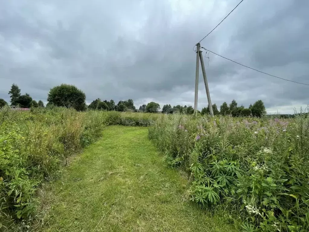 Участок в Смоленская область, Смоленский муниципальный округ, д. ... - Фото 1