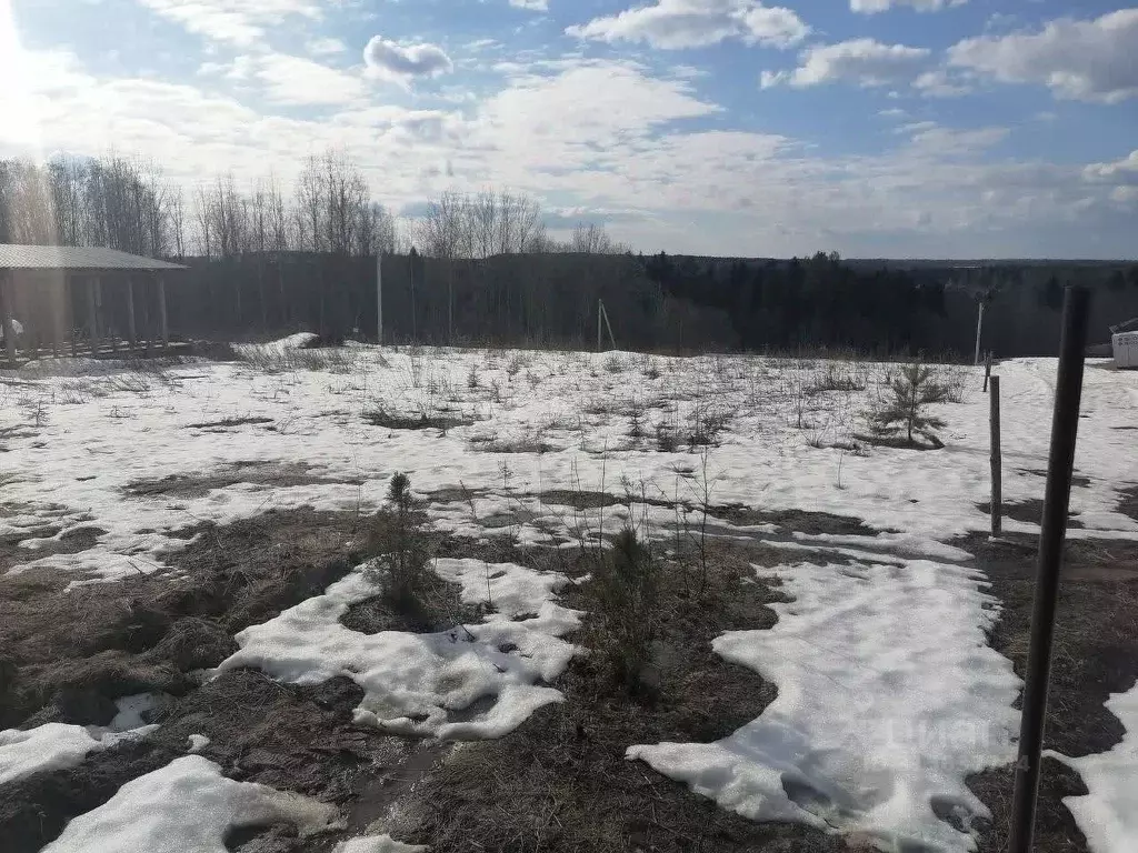 Участок в Вологодская область, Великоустюгский муниципальный округ, ... - Фото 1