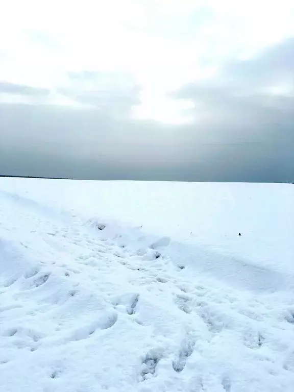 Участок в Тюменская область, Тюменский район, Горошинка СНТ  (400.0 ... - Фото 1