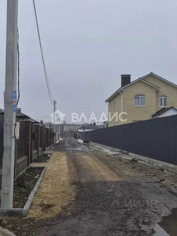 Участок в Воронежская область, Новоусманский район, с. Бабяково ... - Фото 2