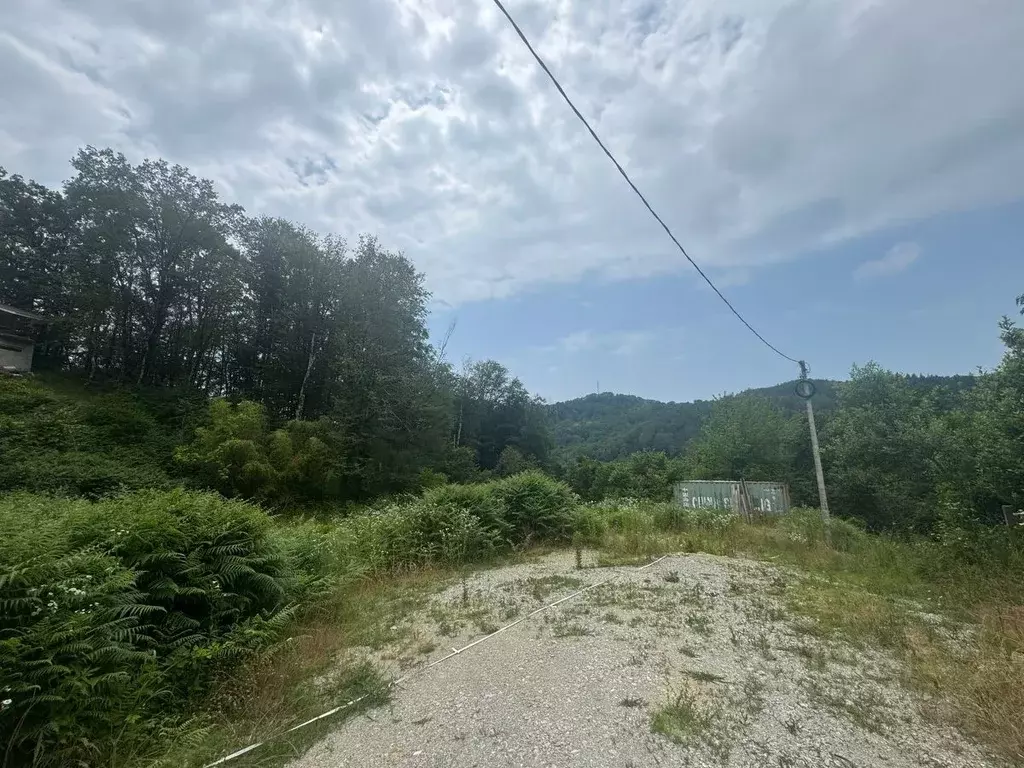 Участок в Краснодарский край, Сочи городской округ, с. Верхнеякорная ... - Фото 1
