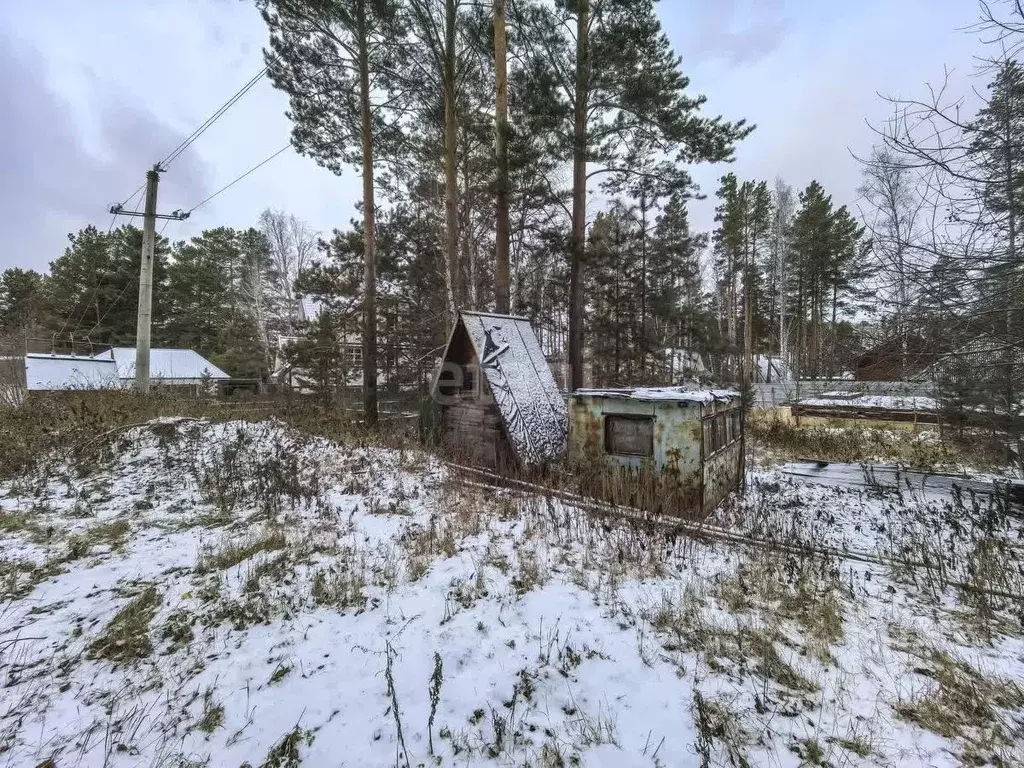 Участок в Новосибирская область, Новосибирский район, Мочищенский ... - Фото 1