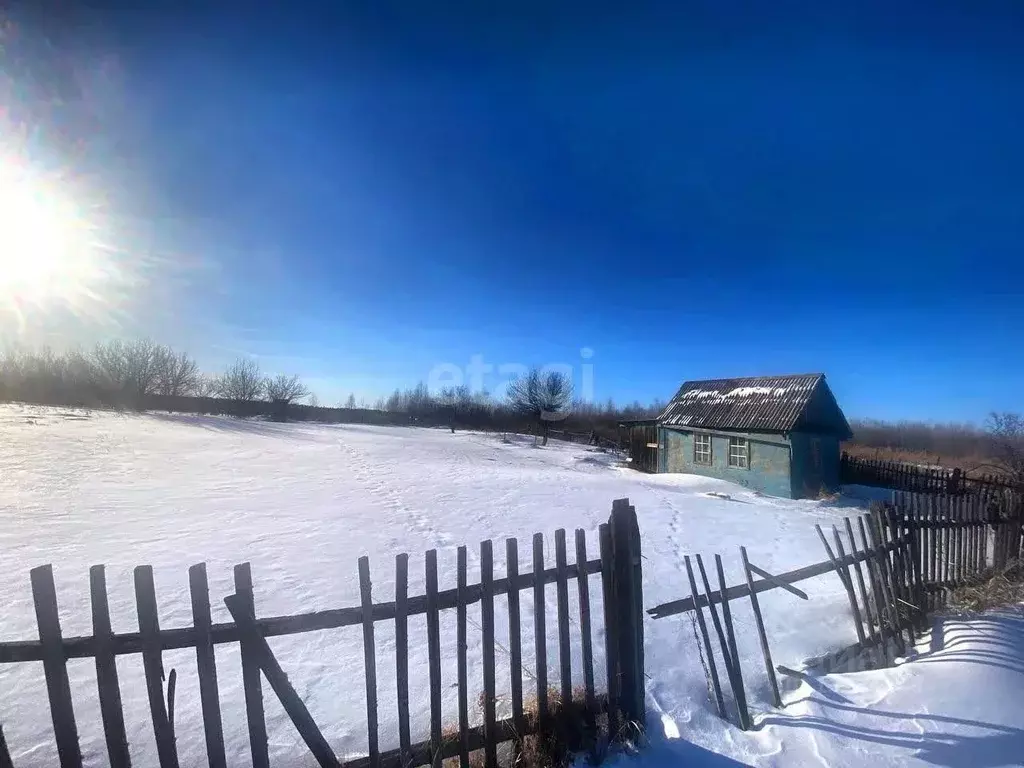 Участок в Амурская область, Благовещенск Новотроицкое шоссе, 8-й км ... - Фото 0