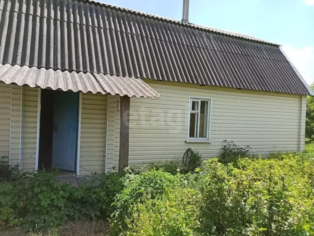 Дом в Белгородская область, Шебекинский муниципальный округ, с. ... - Фото 0