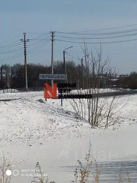 Червишево. Червишево Тюменская область. ПСК Червишево. Червишево флаг.