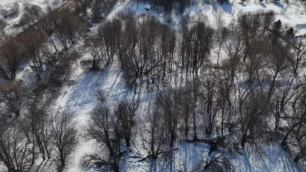Участок в Московская область, Волоколамский муниципальный округ, д. ... - Фото 2