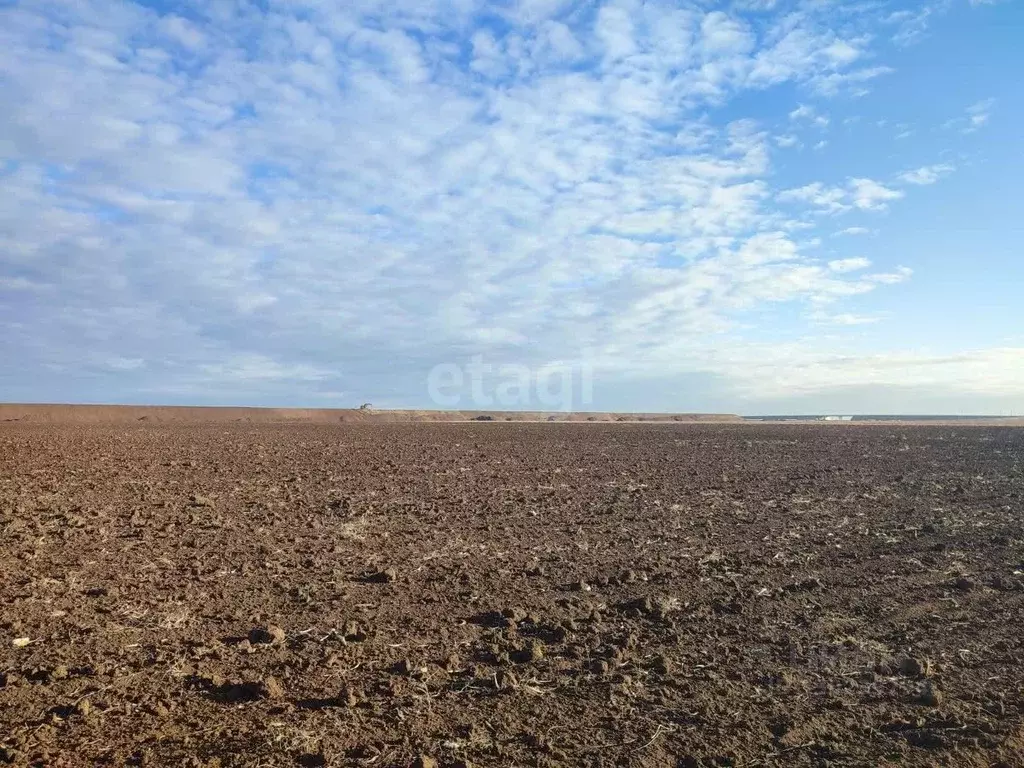 Участок в Крым, Ленинский район, с. Войково ул. Школьная (2506.5 сот.) - Фото 1