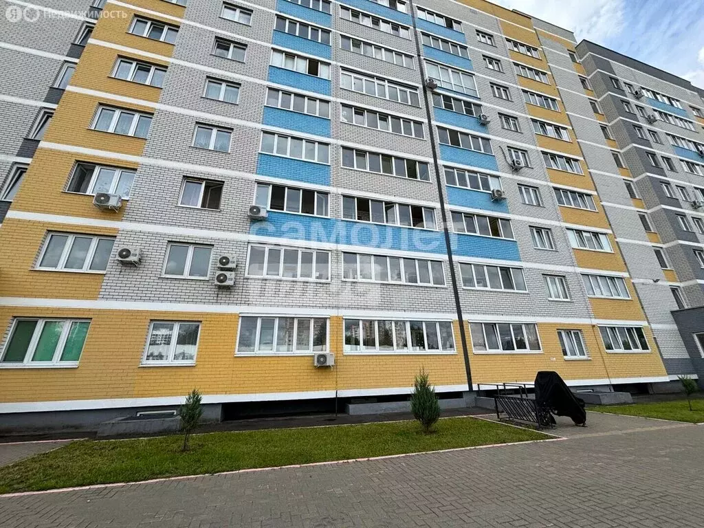Квартира-студия: Брянск, улица имени О.Н. Строкина, 6 (28.7 м) - Фото 2