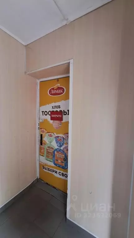 Торговая площадь в Липецкая область, Липецк ул. 8 Марта, 26А (16 м) - Фото 2