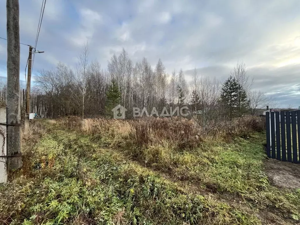 Участок в Владимирская область, Суздальский район, Боголюбовское ... - Фото 1