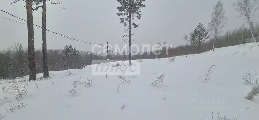 Участок в Иркутская область, Иркутский муниципальный округ, д. ... - Фото 2