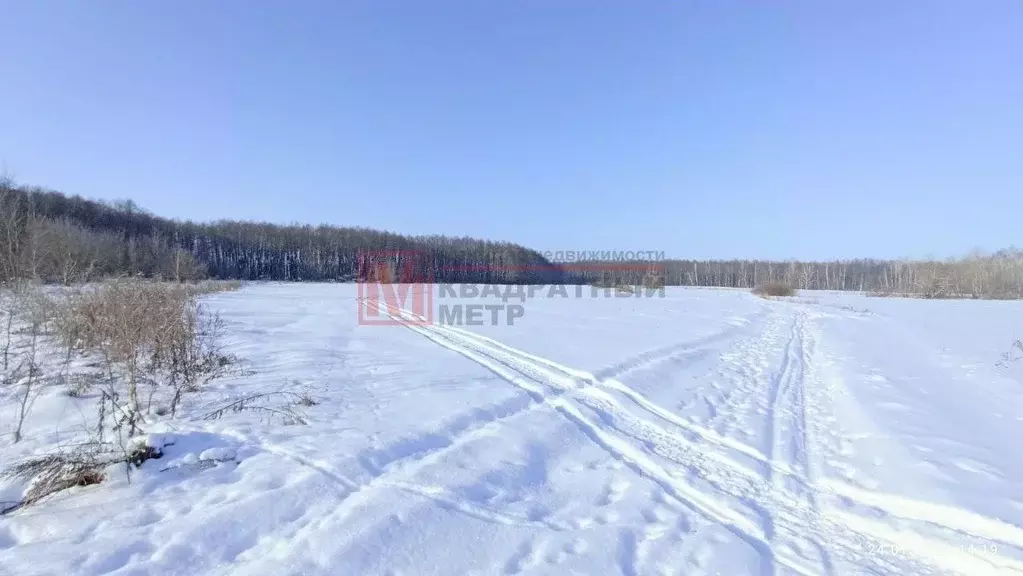Участок в Белгородская область, Старооскольский городской округ, с. ... - Фото 1