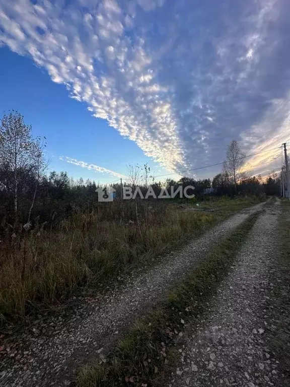 Участок в Нижегородская область, Богородский муниципальный округ, ... - Фото 2