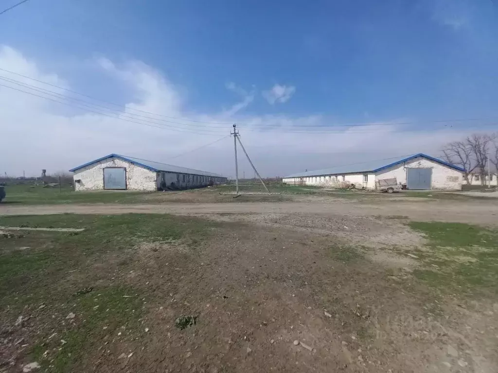 Помещение свободного назначения в Кабардино-Балкария, Прохладненский ... - Фото 1