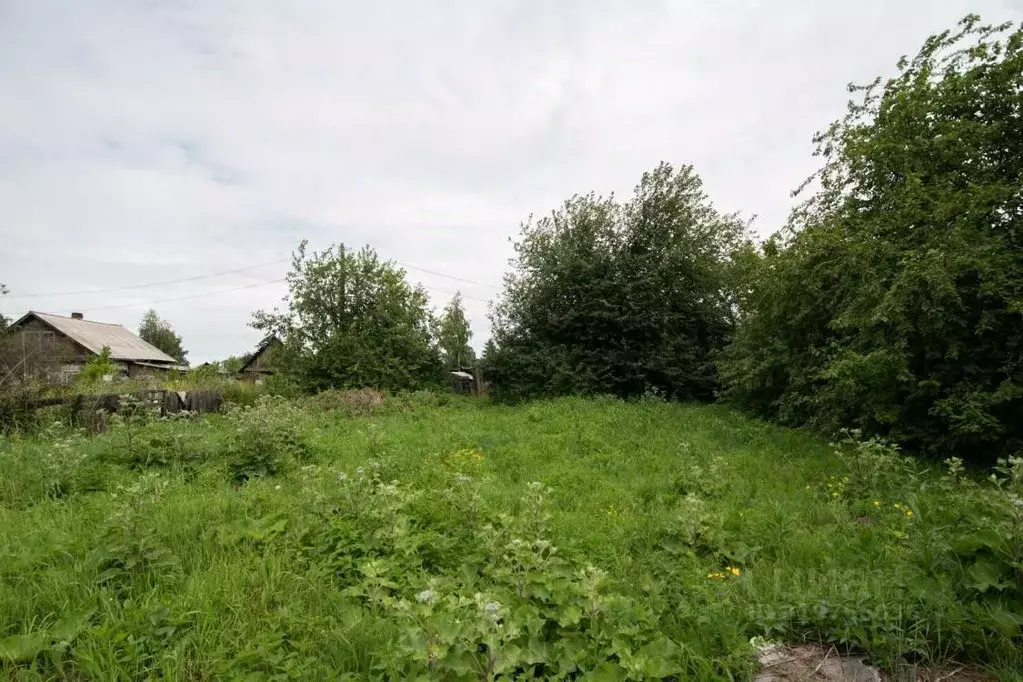 Участок в Иркутская область, Иркутск Черемуховая ул., 13 (10.0 сот.) - Фото 2