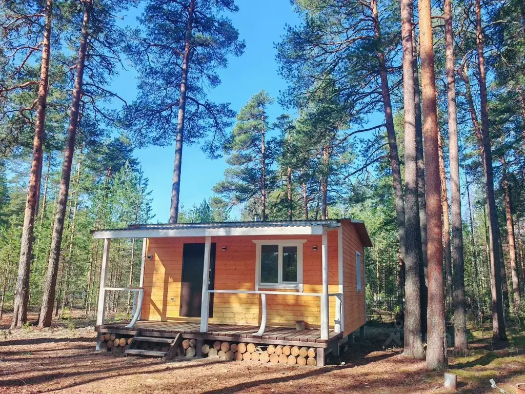 Дом в Карелия, Олонецкий район, Коверское с/пос, д. Нурмолицы  (36 м) - Фото 1