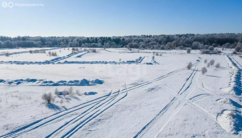 Участок в село Русско-Высоцкое, Яблоневый переулок (10 м) - Фото 2