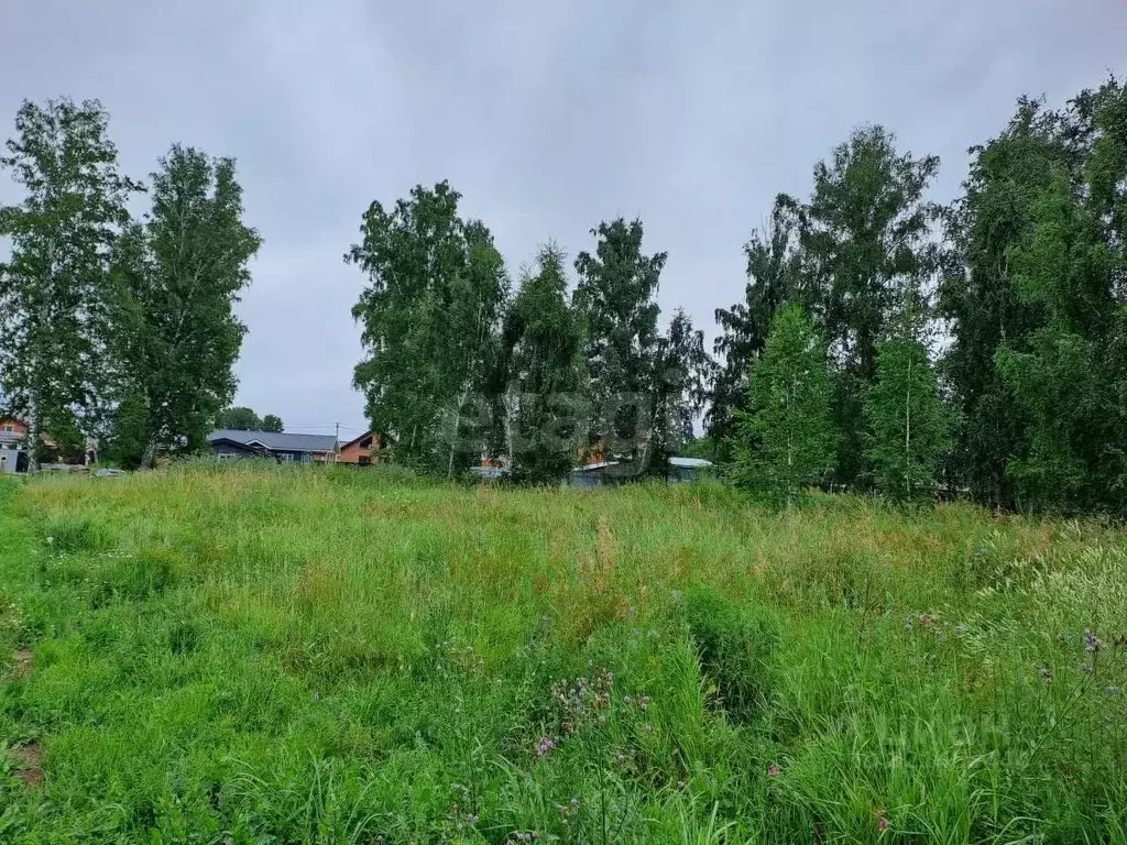 Участок в Новосибирская область, Новосибирский район, Морской ... - Фото 0