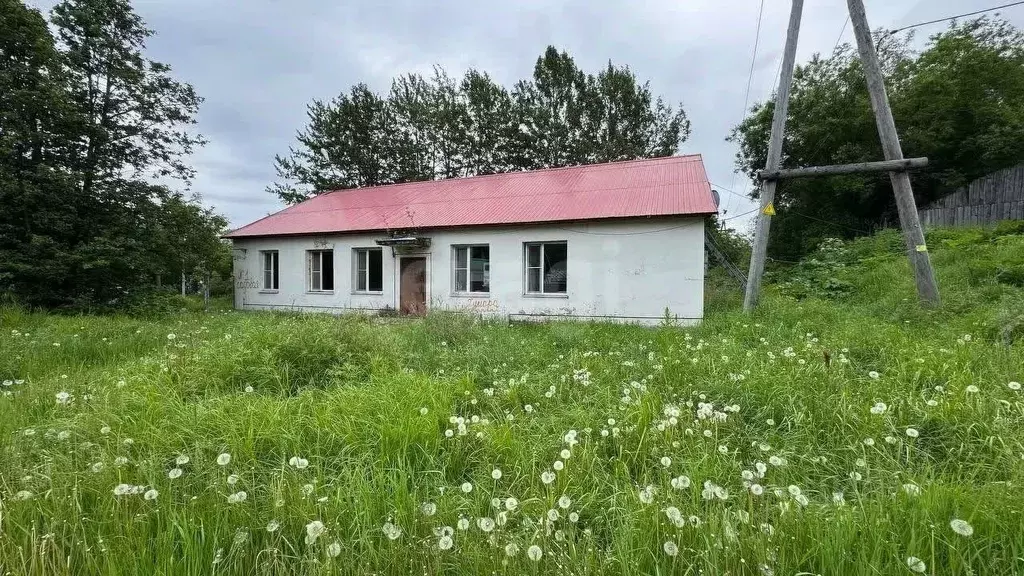 Торговая площадь в Камчатский край, Елизово Садовый мкр, ул. Садовая, ... - Фото 1