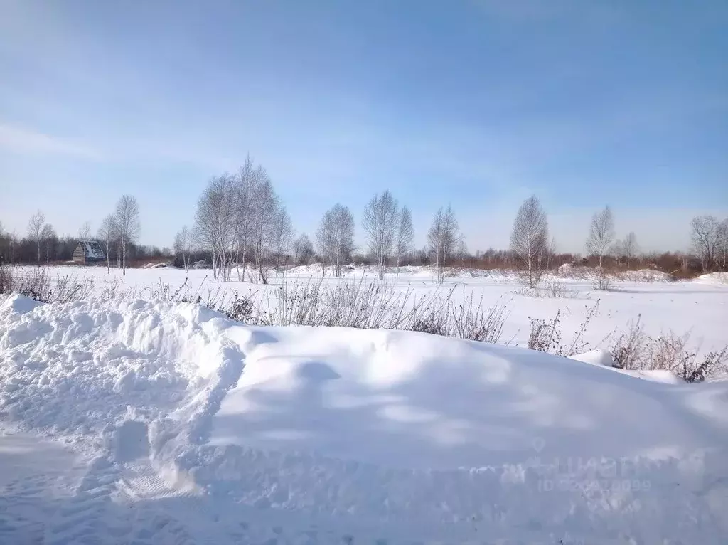 Участок в Тюменская область, Нижнетавдинский муниципальный округ, ... - Фото 1