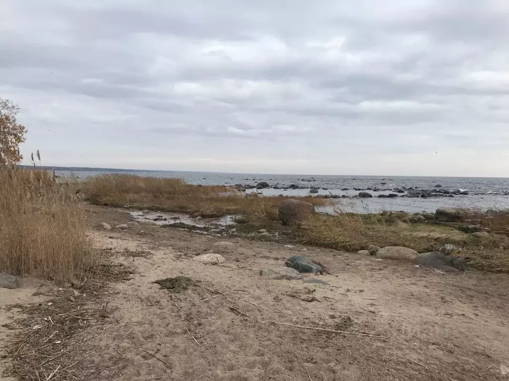 Участок в Санкт-Петербург пос. Молодежное, Почтовая ул. (15.24 сот.) - Фото 1