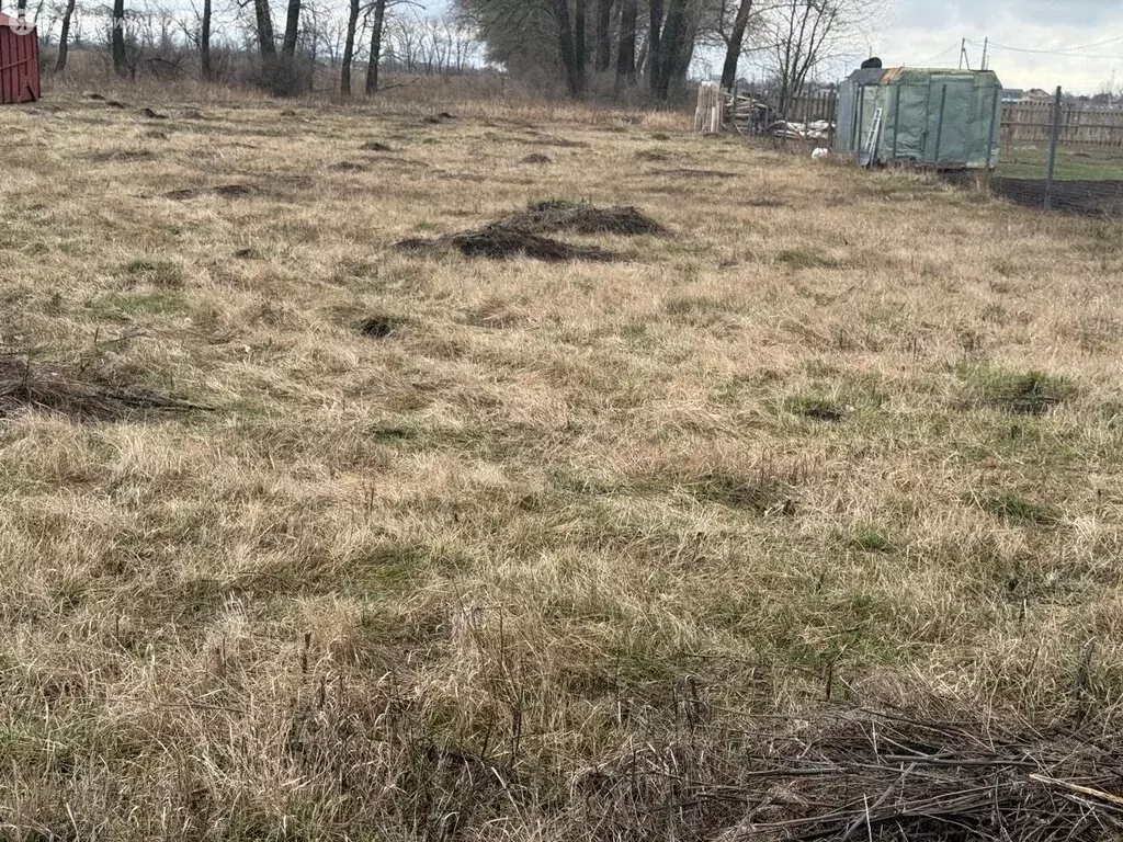 Участок в село Новая Усмань, Пионерская улица, 326 (11 м) - Фото 1
