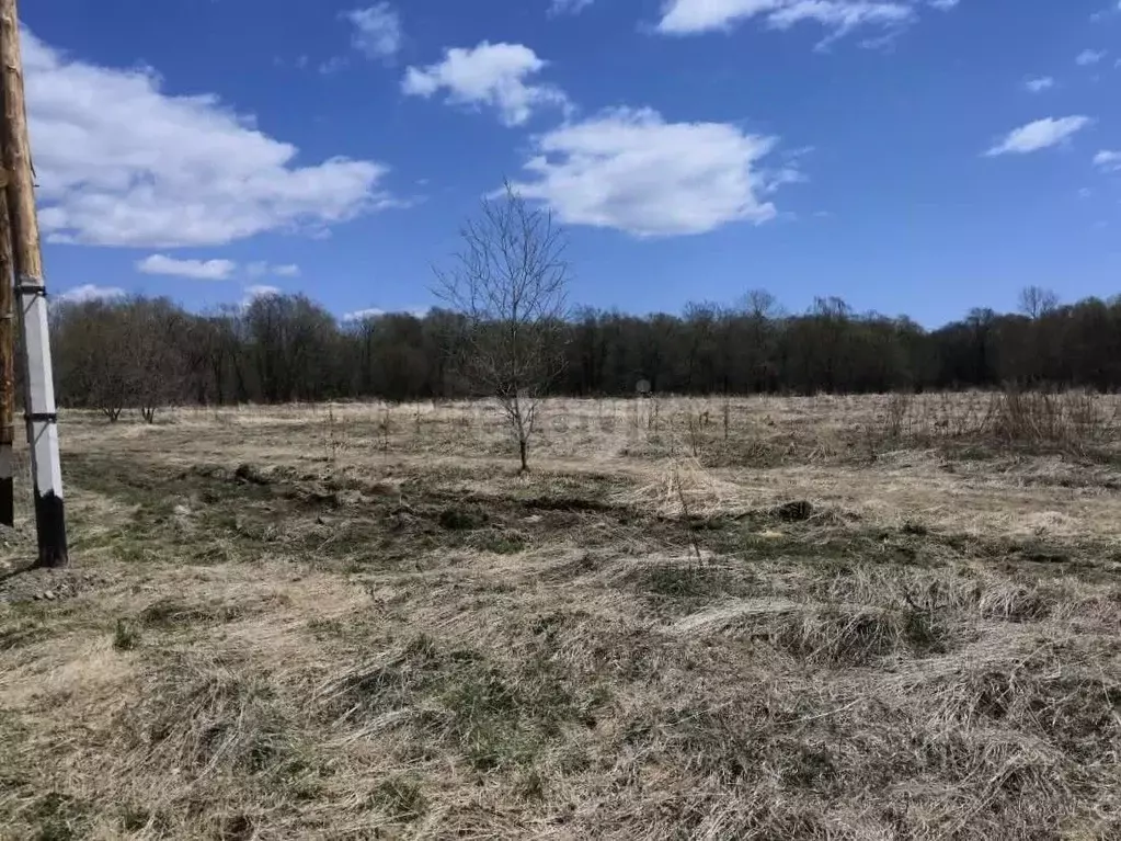 Участок в Сахалинская область, Анивский городской округ, с. ... - Фото 0