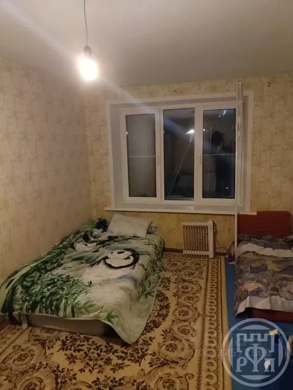 2-к кв. Ленинградская область, Лужский район, Заклинское с/пос, д. ... - Фото 2