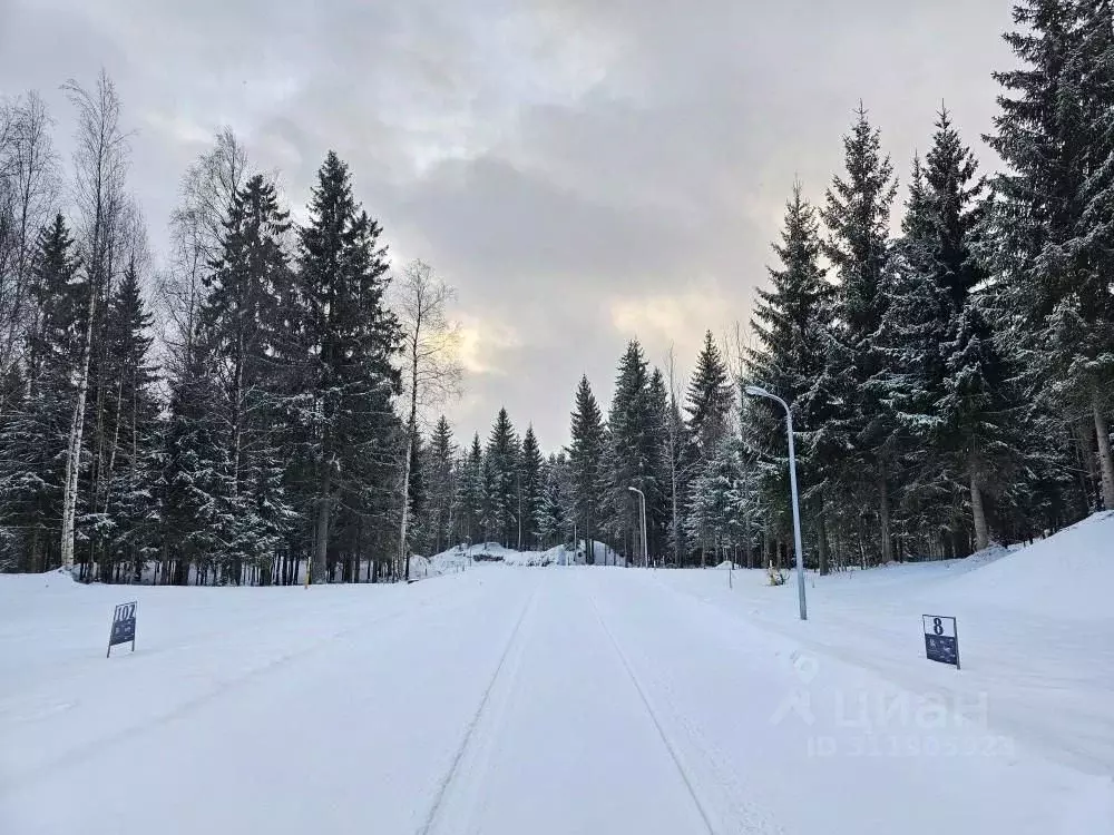 Участок в Ленинградская область, Всеволожский район, Агалатовское ... - Фото 1