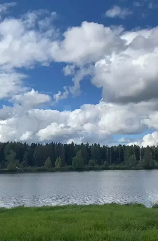 Участок 12 сот. (СНТ, ДНП) - Фото 1