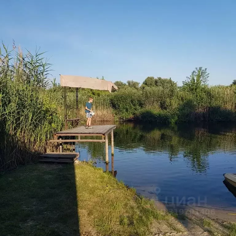 Дом в Воронежская область, Бобров ул. Виктора Турбина, 35 (32 м) - Фото 1