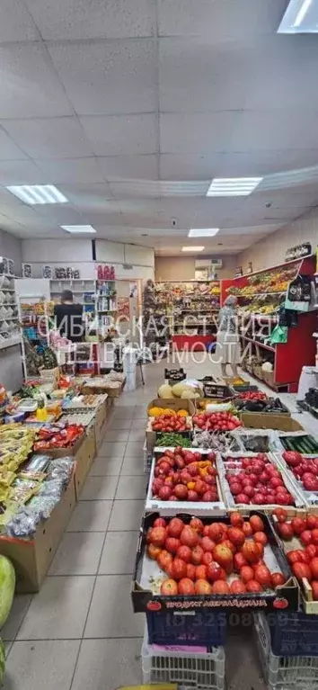 Помещение свободного назначения в Новосибирская область, Новосибирск ... - Фото 1