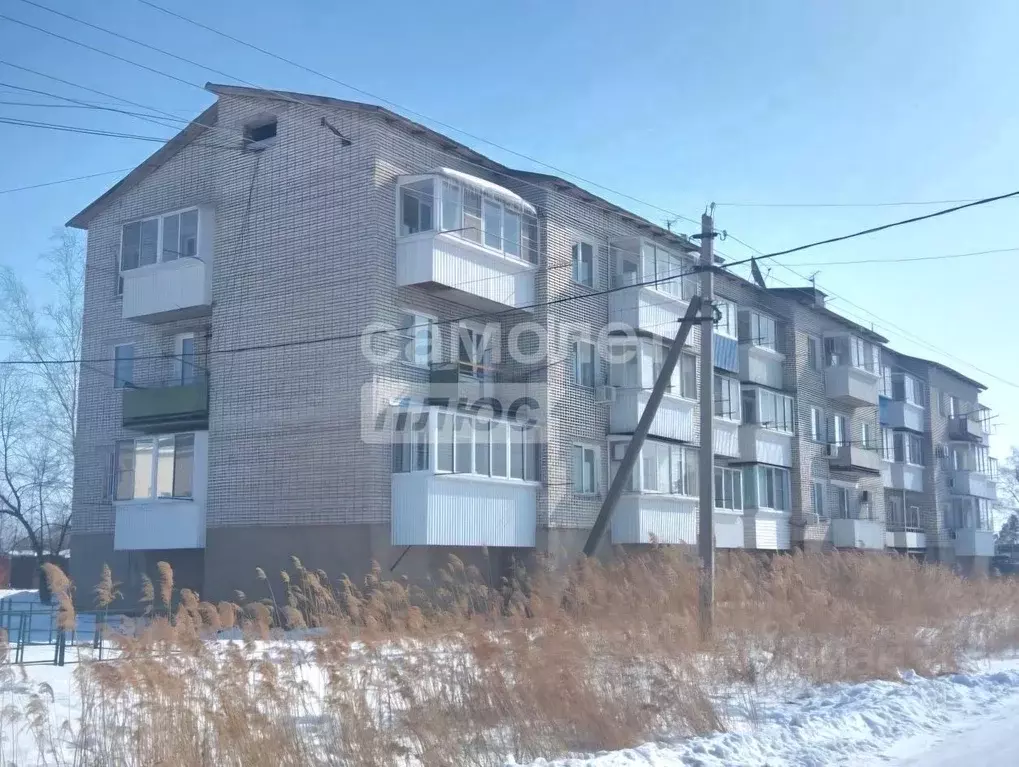 3-к кв. Еврейская автономная область, пос. Смидович пер. Почтовый, 3 ... - Фото 2