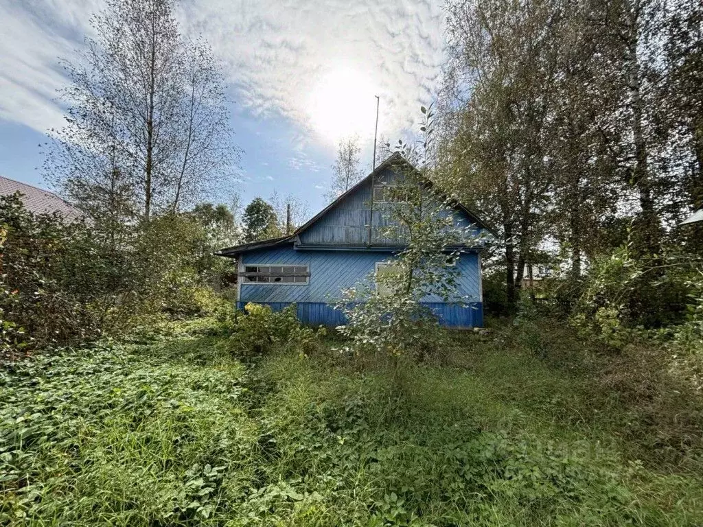 Участок в Ленинградская область, Гатчинский муниципальный округ, д. ... - Фото 2