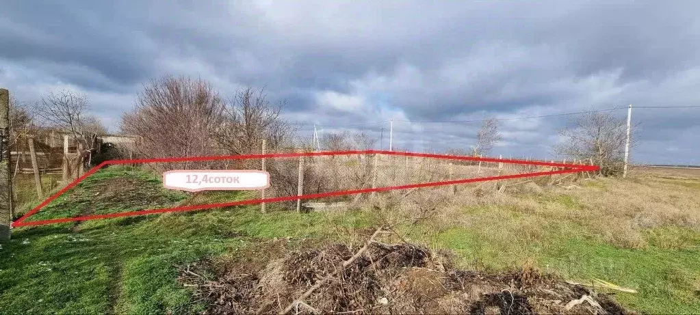 Участок в Крым, Сакский район, Митяевское с/пос, с. Шелковичное ул. ... - Фото 2